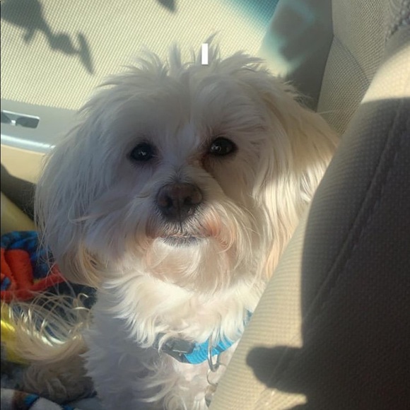 🎉🎊Meet your Posher, Shopping on a budget.🎊🎉 - Picture 1 of 1